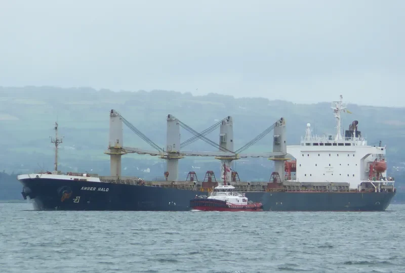 BEST LEADER Bulk Carrier IMO 9111929 photo 6
