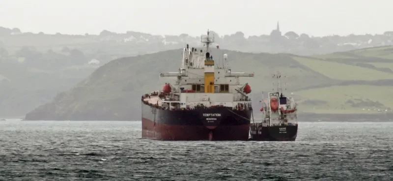BEST FUTURE Bulk Carrier IMO 9111931 photo 4