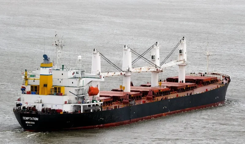BEST FUTURE Bulk Carrier IMO 9111931 photo 5
