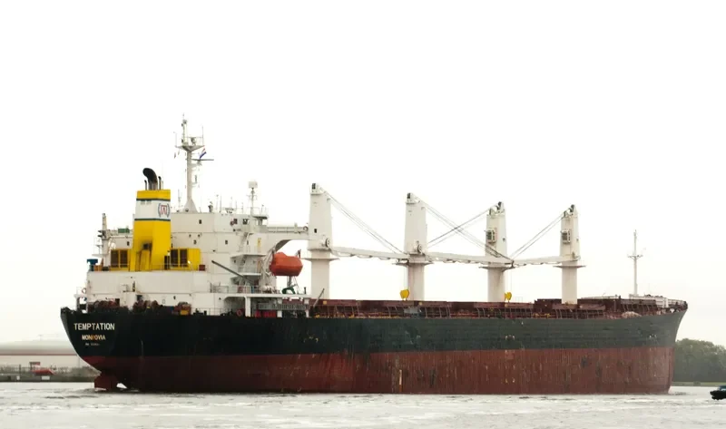 BEST FUTURE Bulk Carrier IMO 9111931 photo 6