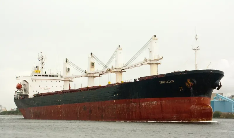 BEST FUTURE Bulk Carrier IMO 9111931 photo 7