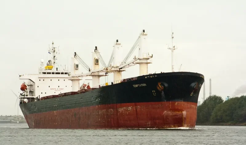 BEST FUTURE Bulk Carrier IMO 9111931 photo 8