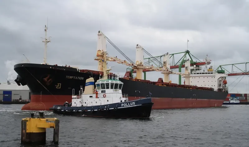 BEST FUTURE Bulk Carrier IMO 9111931 photo 9