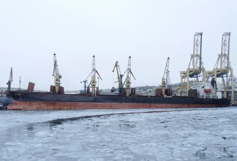 DUKE Bulk Carrier IMO 9111943