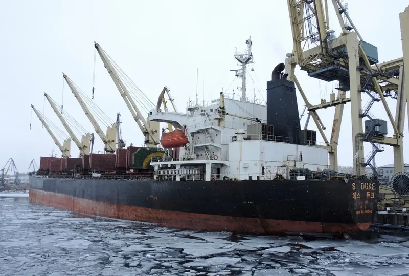 DUKE Bulk Carrier IMO 9111943 photo 2