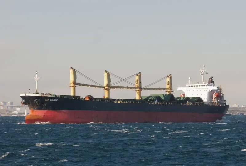 DUKE Bulk Carrier IMO 9111943 photo 3