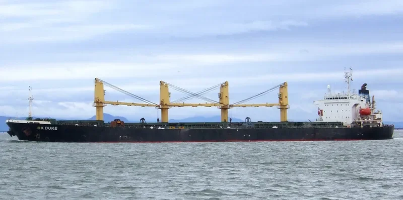 DUKE Bulk Carrier IMO 9111943 photo 6