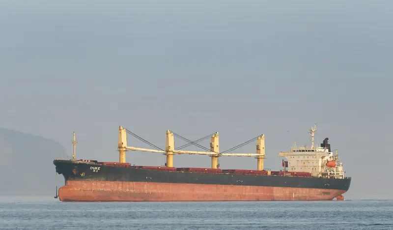 DUKE Bulk Carrier IMO 9111943 photo 9