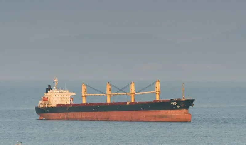 DUKE Bulk Carrier IMO 9111943 photo 10
