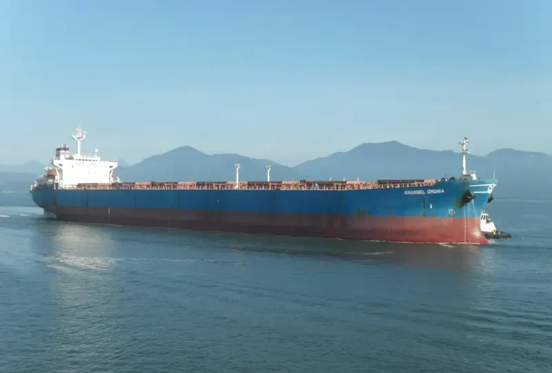 EL OMONIA Bulk Carrier IMO 9111955 photo 5