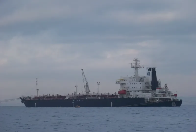 VRIES VIENA Tanker IMO 9112052 photo 10