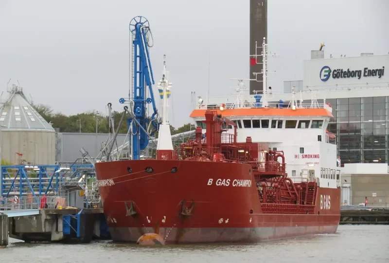 B GAS CHAMPION General Cargo IMO 9112143 photo 5
