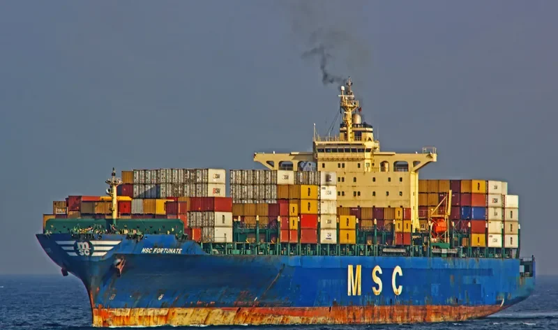 FORTUNATE Container Ship IMO 9112272