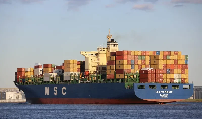 FORTUNATE Container Ship IMO 9112272 photo 2