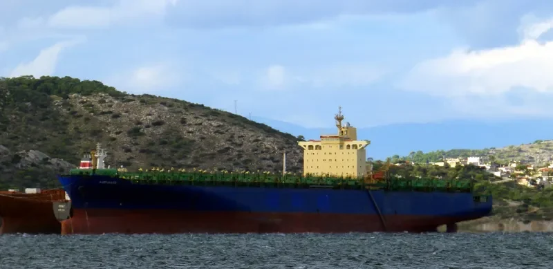 FORTUNATE Container Ship IMO 9112272 photo 8