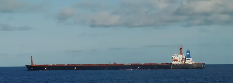RUTLAND Bulk Carrier IMO 9112301 photo 7