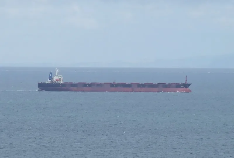 RUTLAND Bulk Carrier IMO 9112301 photo 8