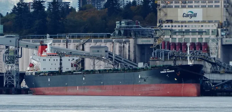 SANMAR PARAGON Bulk Carrier IMO 9112325 photo 10