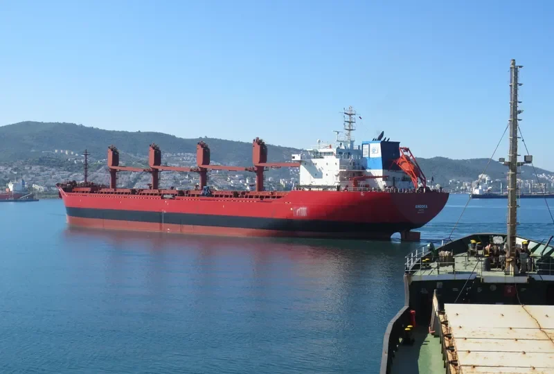 ANGORA Bulk Carrier IMO 9112351 photo 3