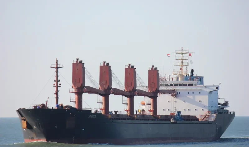 ANGORA Bulk Carrier IMO 9112351 photo 9