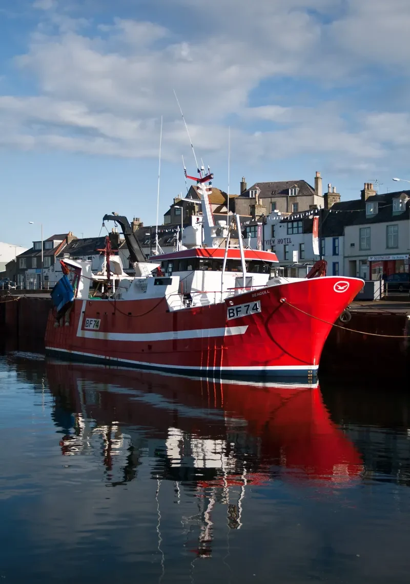 SEAGULL General Cargo IMO 9112545 photo 6