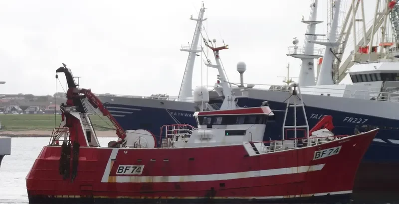 SEAGULL General Cargo IMO 9112545 photo 7