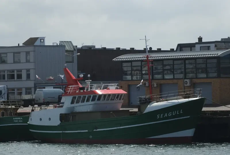 SEAGULL General Cargo IMO 9112545 photo 9