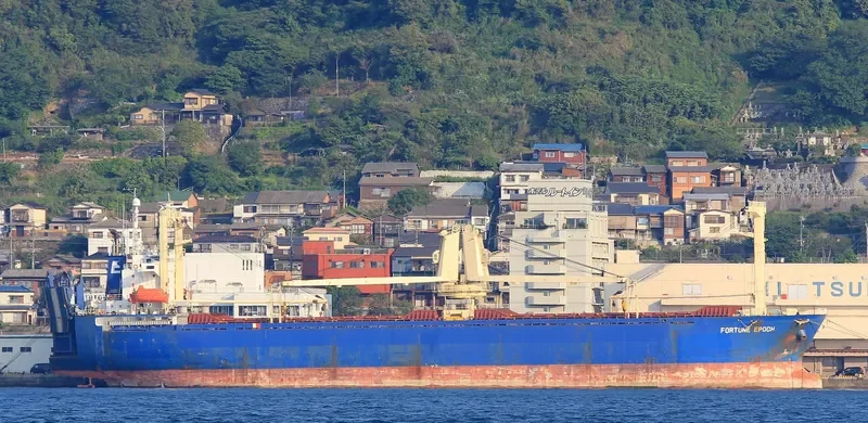 IDM DOODLE General Cargo IMO 9112557