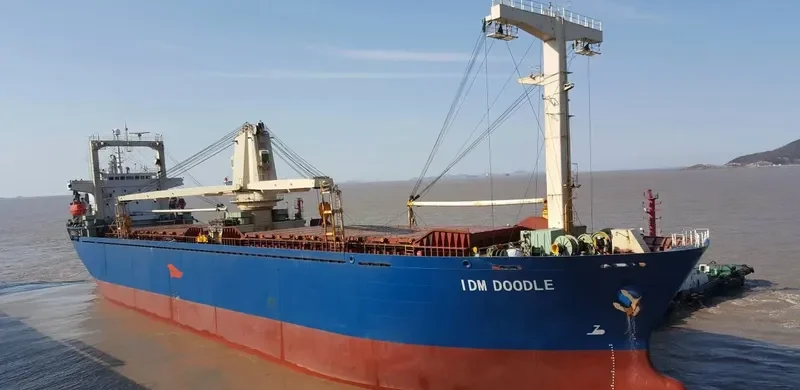 IDM DOODLE General Cargo IMO 9112557 photo 2