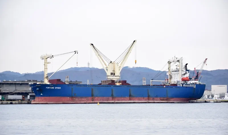 IDM DOODLE General Cargo IMO 9112557 photo 3
