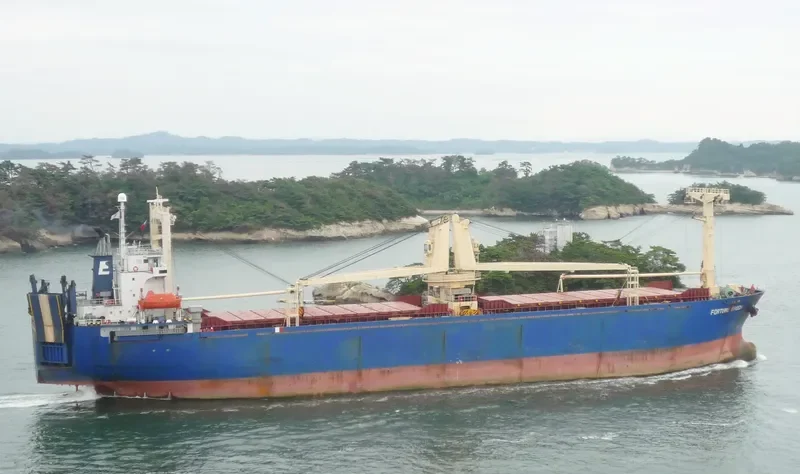 IDM DOODLE General Cargo IMO 9112557 photo 4