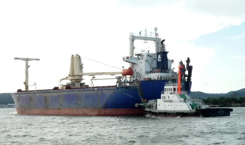 IDM DOODLE General Cargo IMO 9112557 photo 5