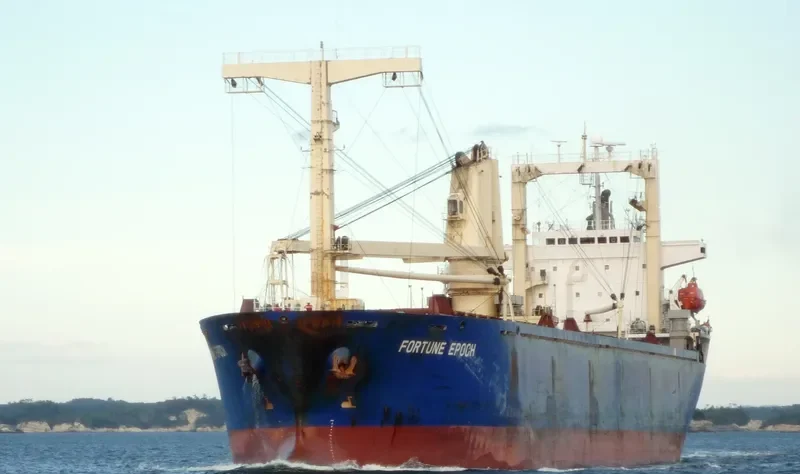 IDM DOODLE General Cargo IMO 9112557 photo 6