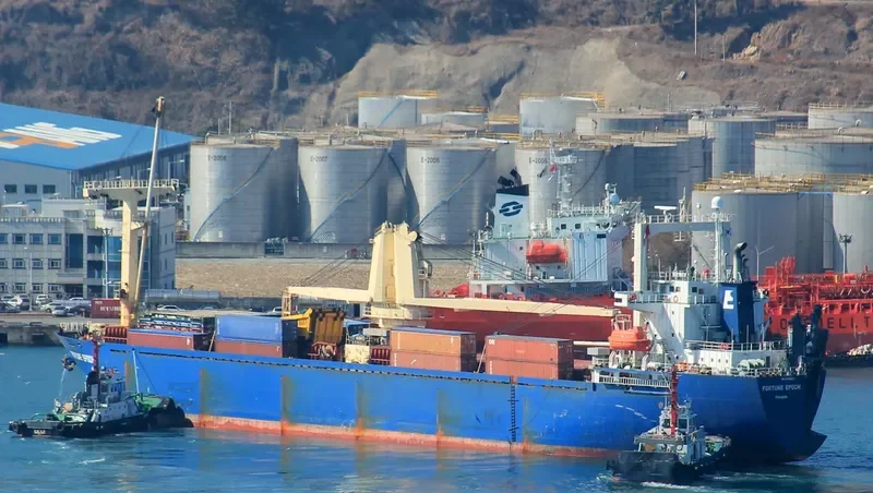 IDM DOODLE General Cargo IMO 9112557 photo 9