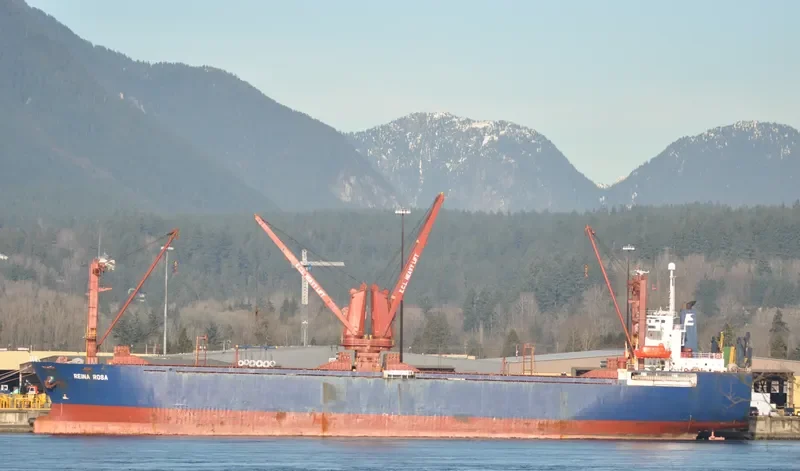 REINA ROSA General Cargo IMO 9112569 photo 4