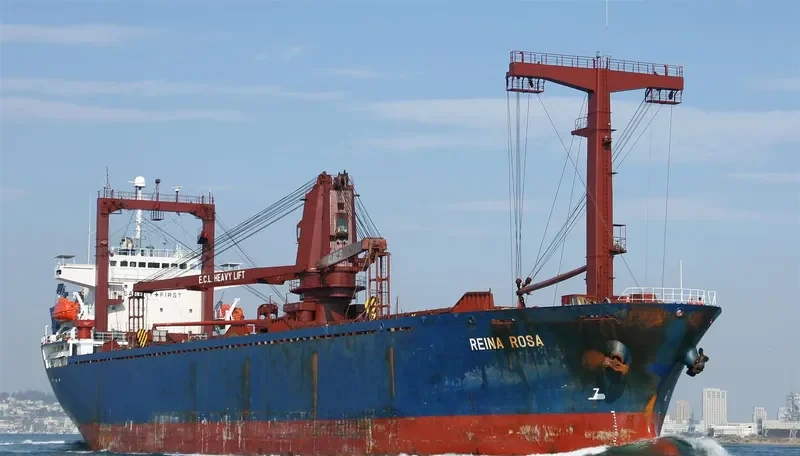 REINA ROSA General Cargo IMO 9112569 photo 9