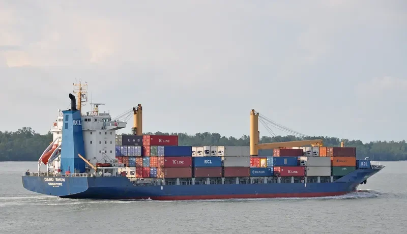 DANU BHUM Container Ship IMO 9112698