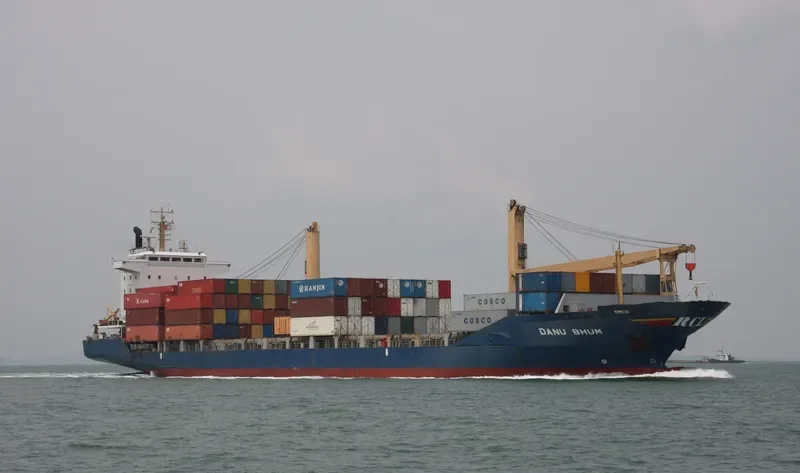 DANU BHUM Container Ship IMO 9112698 photo 3