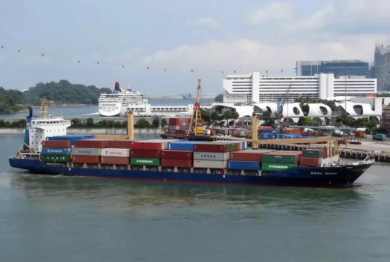 DANU BHUM Container Ship IMO 9112698 photo 6