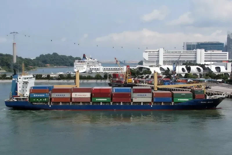 DANU BHUM Container Ship IMO 9112698 photo 7