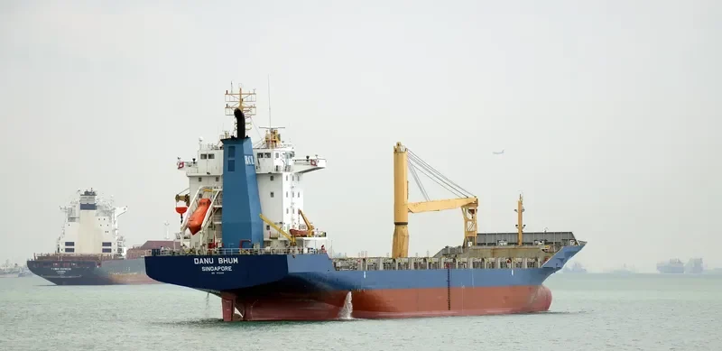 DANU BHUM Container Ship IMO 9112698 photo 10