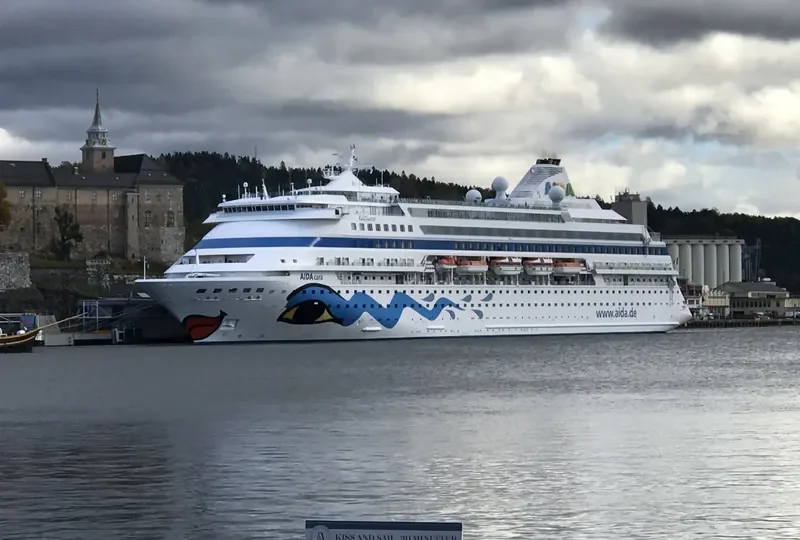 AIDACARA Passenger Ship IMO 9112789 photo 2