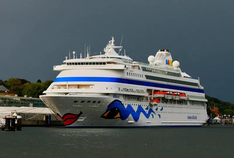 AIDACARA Passenger Ship IMO 9112789 photo 3