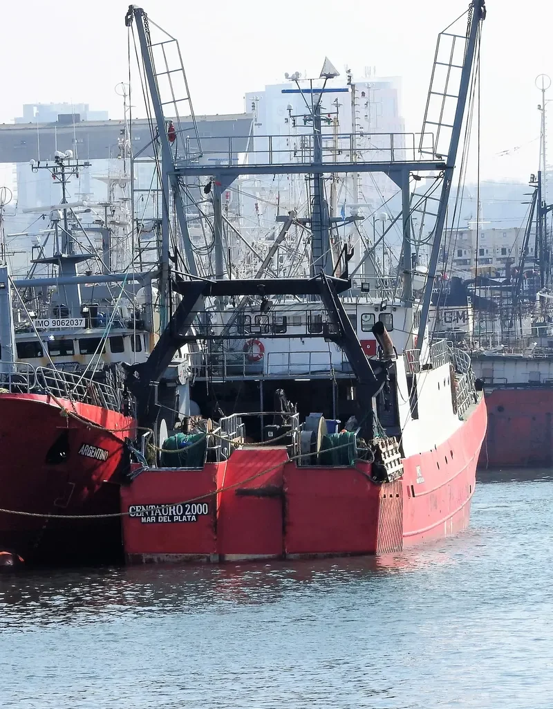 CENTAURO 2000 General Cargo IMO 9112961