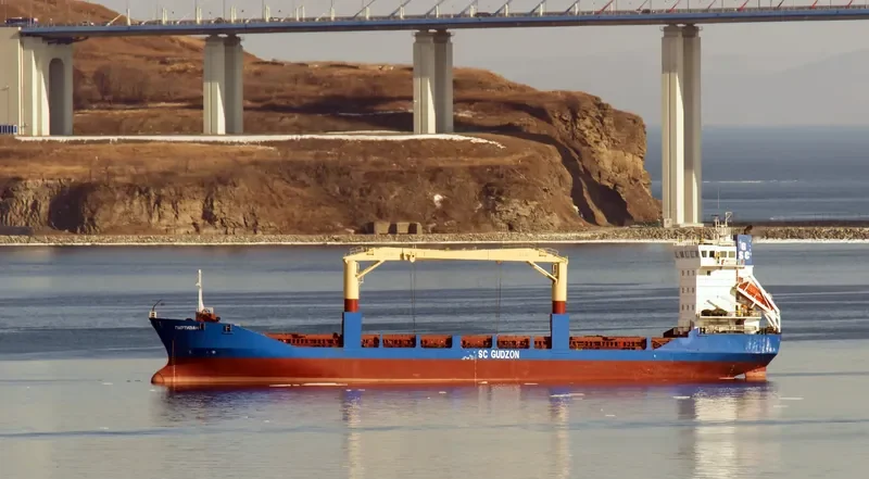 PARTIZAN General Cargo IMO 9113020 photo 3