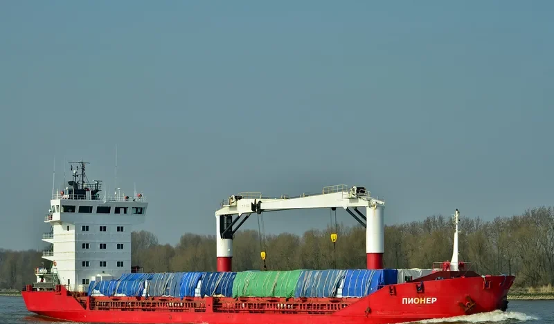 PIONER General Cargo IMO 9113032 photo 6