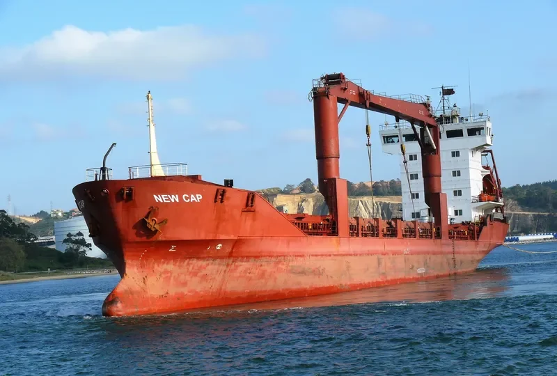 NEW CAP General Cargo IMO 9113056 photo 6