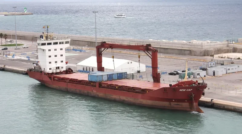 NEW CAP General Cargo IMO 9113056 photo 7