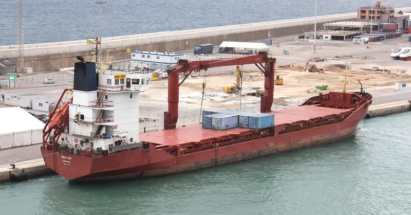 NEW CAP General Cargo IMO 9113056 photo 8