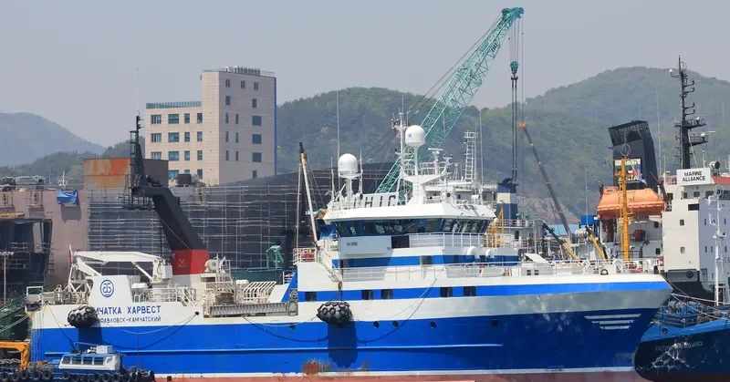 KAMCHATKA HARVEST General Cargo IMO 9113068 photo 3